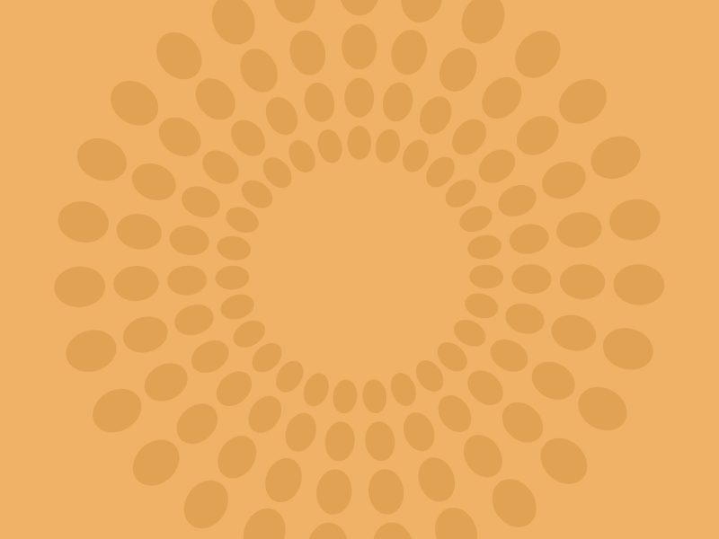 classici-banner-cat5